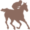 Equine Welfare & Jockey Support
